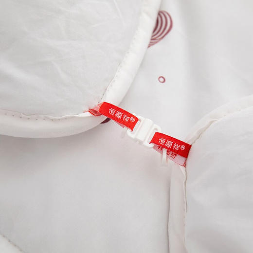 恒源祥（HYX） 恒源祥礼业暖洋洋豪华双人冬季纯羊毛被 暖洋洋纯羊毛被 200*230 商品图3