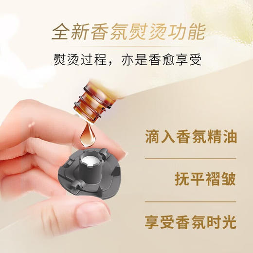 飞利浦（PHILIPS）立式香氛挂烫机 全新双杆熨烫机 除螨蒸汽挂烫机STE3170/80 商品图2