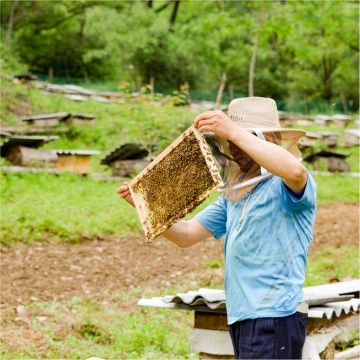 VIP私人定制服务【芝麻片】 商品图1