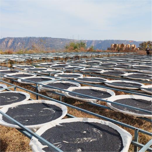 VIP私人定制服务【芝麻片】 商品图7