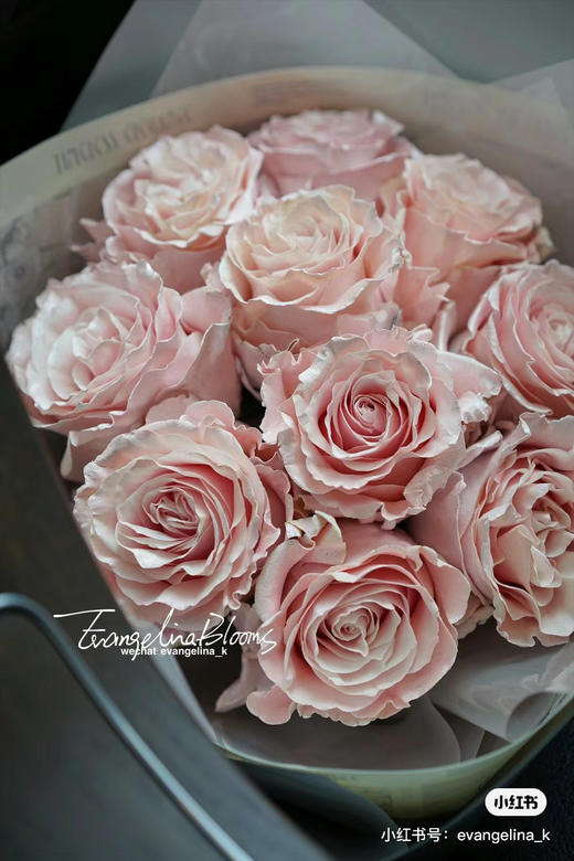 厄瓜多尔-【Pearl Rose Gold】玫瑰金 商品图1