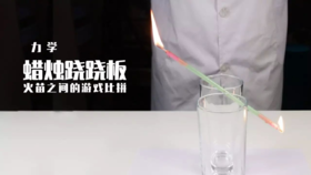 Lv.22 第5节课【蜡烛跷跷板】（精选原理作业）