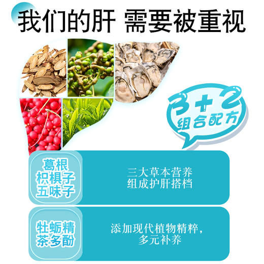 （养肝护肝）斯利安康上工强生堂牡蛎葛根枳椇子胶囊40粒【FX】 商品图2