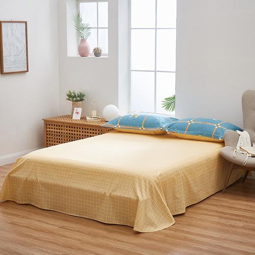 恒源祥礼业TBK2018蔚蓝骑士全棉四件套 蔚蓝骑士 200*230cm 商品图9