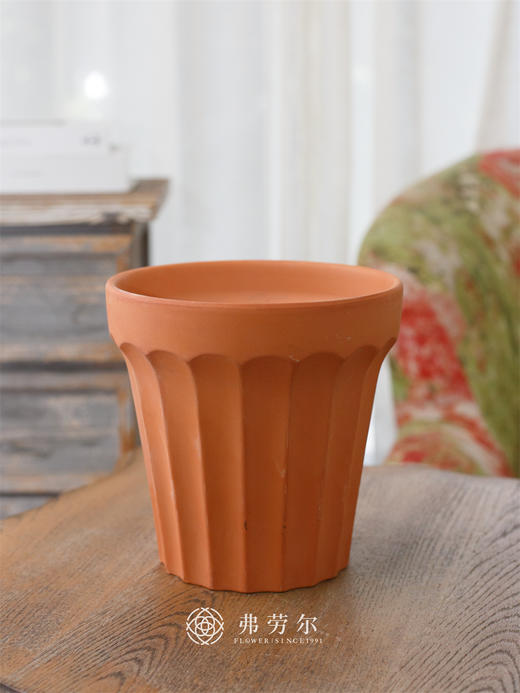 宽边竖纹盆 商品图0