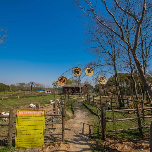 【聚会专享 | 周五不加价 | 超长有效期】镇江句容 | 茅山涵田度假村聚会套餐，499起/单人2晚，699起/单人3晚，2人起订，限时抢购~ 商品图8