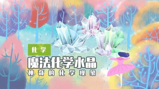 Lv.21 第8节课【魔法化学水晶】（精选实验打卡） 商品图0