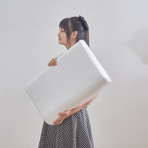 恒源祥（HYX） 恒源祥礼业TZT1020乳胶枕头 只 40*60cm 商品图9