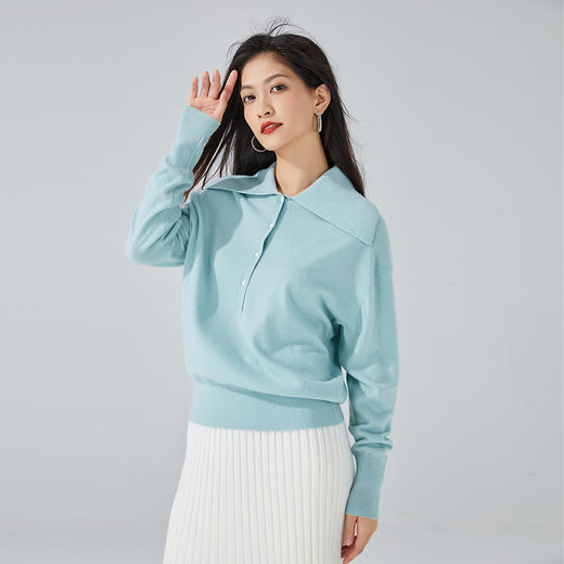 东黎 • 小山羊绒 女士秋冬大翻领简约纯色休闲羊绒衫  3414 商品图5