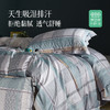 雅芳婷摩登丝床笠款四五件套丝滑被套薄被芯田园印花60S套件 商品缩略图2