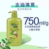 飘柔日常护理双效去油清爽型洗发露750g（含绿茶精华） 商品缩略图1