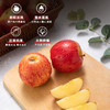 【7斤/8斤】新疆冰糖心苹果礼盒 商品缩略图4