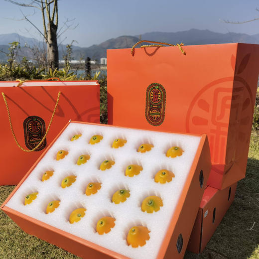 融安匠桔 脆蜜金柑 桔中精品 商品图6