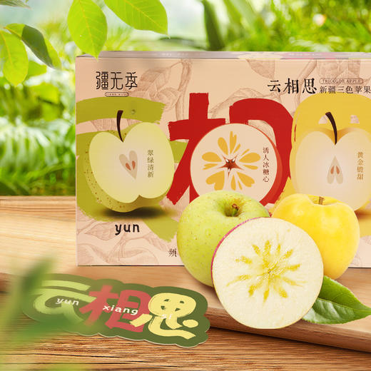 【活动】云相思新疆三色苹果  冰糖心苹果+王林苹果+瑞雪苹果 商品图1