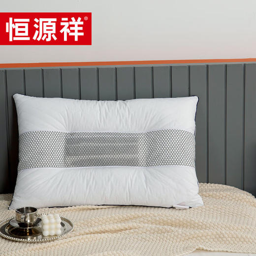 恒源祥（HYX） 恒源祥礼业TZT1002单只枕芯单人枕头 决明子枕头 48*74cm 商品图0