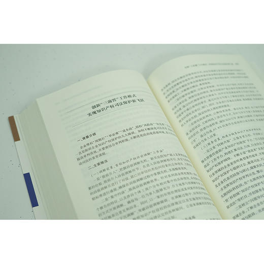 法治化营商环境建设的理论与实践  钱斌主编 商品图4