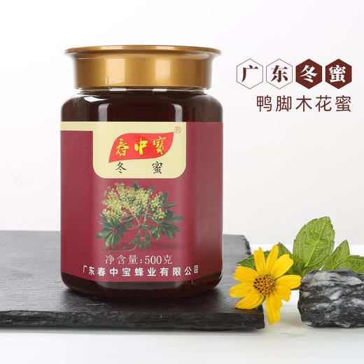 春中宝冬蜜蜂蜜 500g瓶装 商品图1