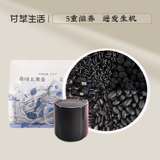 桑椹五黑茶 10g*12包/袋 商品图0