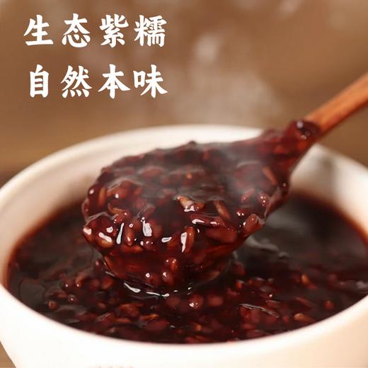 生态紫糯米   500g /自然农法种植 商品图1