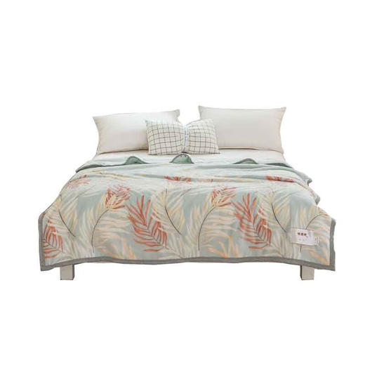 恒源祥（HYX） 恒源祥礼业TLS1047珊瑚绒薄毯香格里拉绒毯 香格里拉 180*200 商品图1