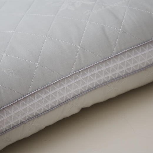 恒源祥（HYX） 恒源祥礼业TZT1023（纤维枕） 玻尿酸枕头 45*70 商品图5