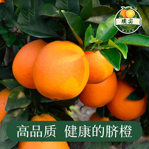 江西赣南有机脐橙 皮薄多汁江西甜橙6斤/10斤/20斤装 商品图6