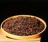 【高端老货】【90年代樟香老熟散】什么是30年老熟茶的老味？这个茶足够你体验了！单罐净重250克！ 商品缩略图1