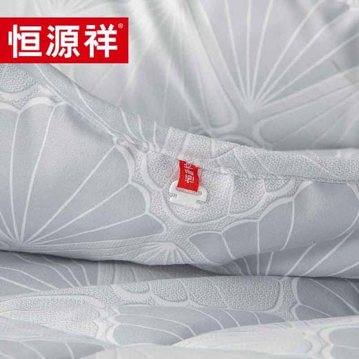 恒源祥（HYX） 恒源祥礼业TGB2031四季被芯秋冬加厚馨叶子母被 馨叶 200*230cm 商品图3