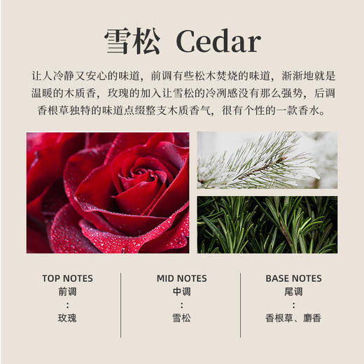 好莱舒汽车香水 无酒精安全除臭车载香水室内香氛车用19号雪松100ml 商品图6