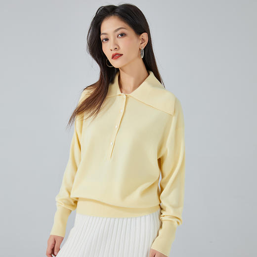 东黎 • 小山羊绒 女士秋冬大翻领简约纯色休闲羊绒衫  3414 商品图2