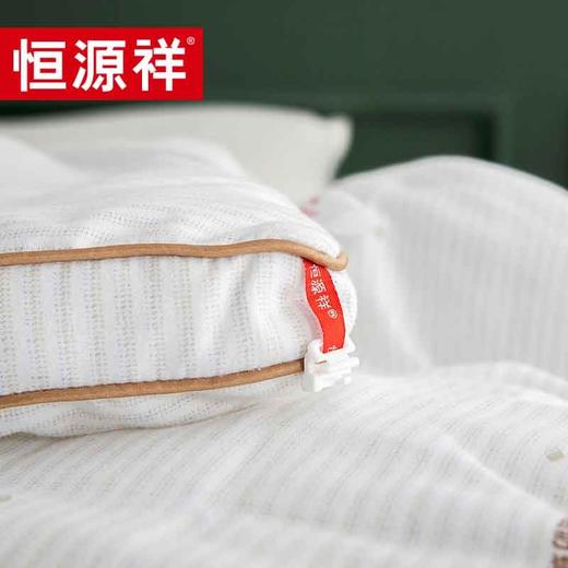 恒源祥（HYX） 恒源祥礼业TGB2054立体抑菌亲舒被春秋加厚被子  200*230cm 商品图2