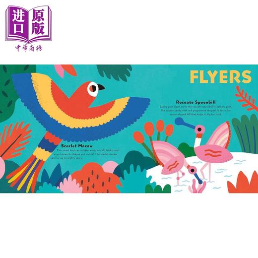 【中商原版】Susan Patterson：Cuddly Critters for Little Geniuses动物小天才英文原版进口图书儿童绘本故事图画书 商品图2