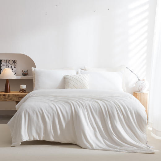 無印良品纯蚕丝被    MUJI-B23-67 商品图0