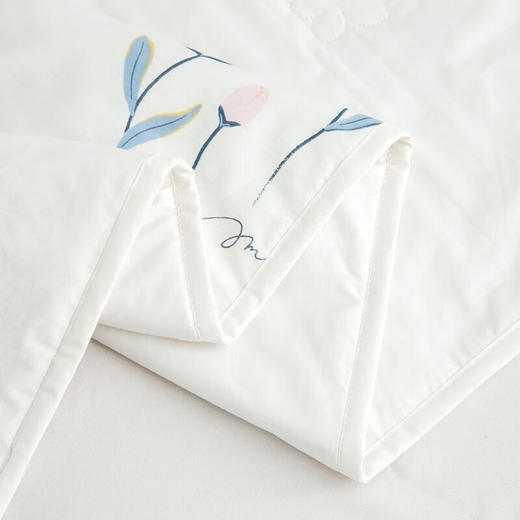 恒源祥（HYX）礼业TSB1048花柔儿冰沁蚕丝被 花柔儿 200*230cm 商品图4