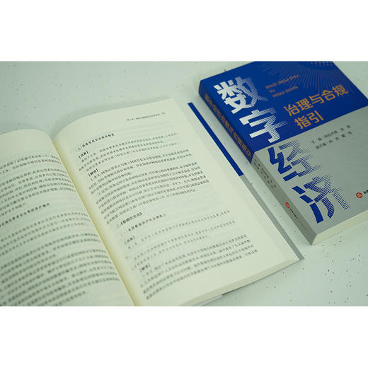 数字经济治理与合规指引  阿拉木斯 张韬主编 尚进 戴伟副主编 商品图3
