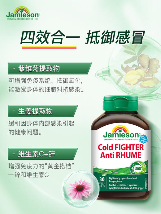 紫锥菊 | 冷战士胶囊 缩短感冒进程 Jamieson健美生冷战士胶囊30粒cold fighter 商品图2