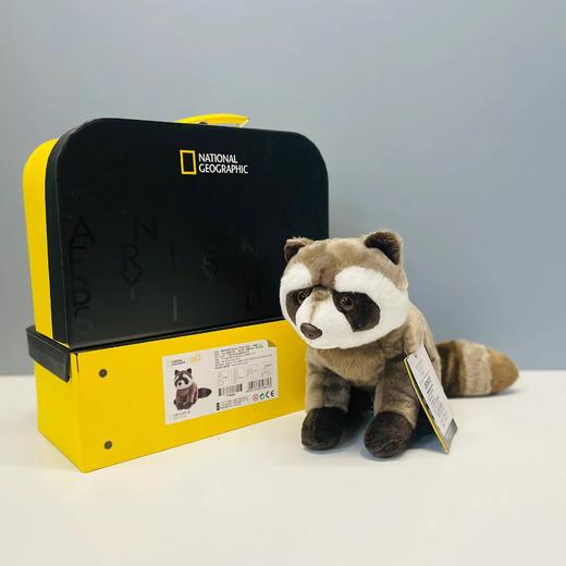 国家地理毛绒玩具熊猫狮子闺蜜情人节吉祥生日礼物毕业季纪念 商品图4
