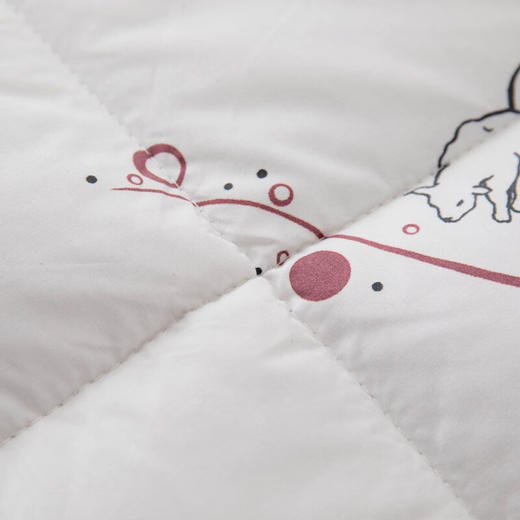 恒源祥（HYX） 恒源祥礼业暖洋洋豪华双人冬季纯羊毛被 暖洋洋纯羊毛被 200*230 商品图4