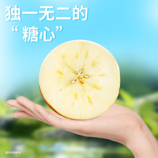 【7斤/8斤】新疆冰糖心苹果礼盒 商品图0