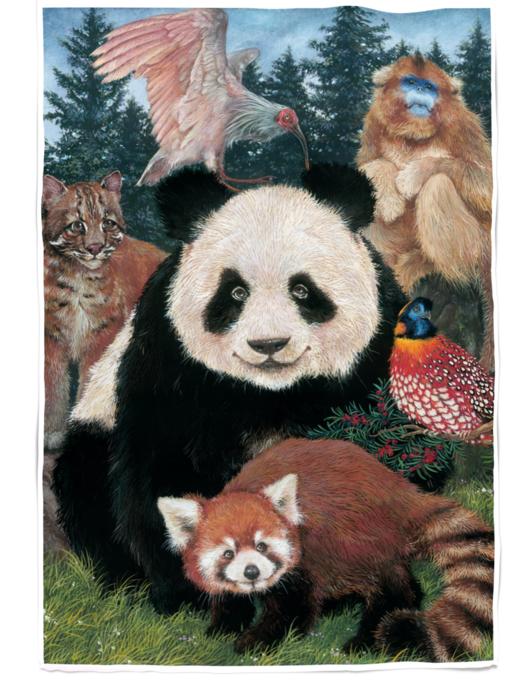 大熊猫丝巾 商品图0