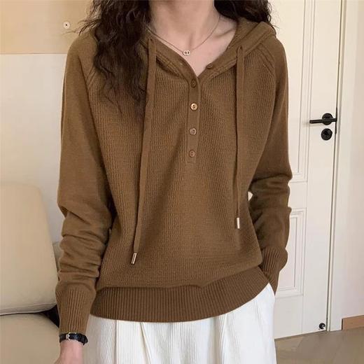 2F梵希威登毛衫 商品图0