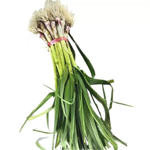 蒜苗约0.3~0.4kg/份 商品图0