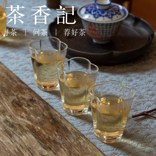 茶香记 九龙池千两016 7年转化  内质丰富 甜润醇厚  焖泡煮皆适宜 商品图4