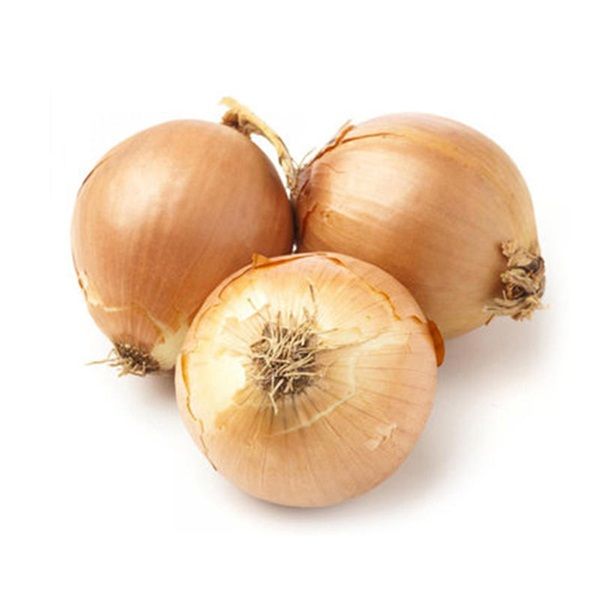 白洋葱约 1.4~1.6kg/份