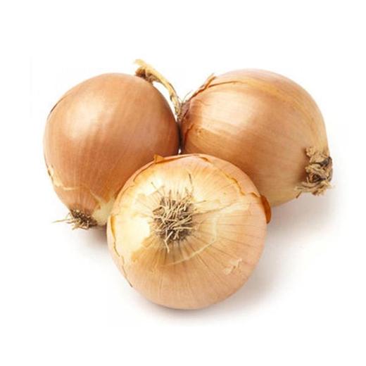 白洋葱约 1.4~1.6kg/份 商品图0