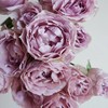 肯尼亚LAVENDER BUBBLES 薰衣草泡泡多头玫瑰花10支 商品缩略图3