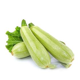 西葫芦约0.9~1.1kg/份