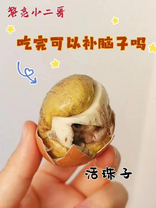 活珠子一盒 商品图4