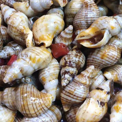 麻辣红枣螺约500克 商品图0