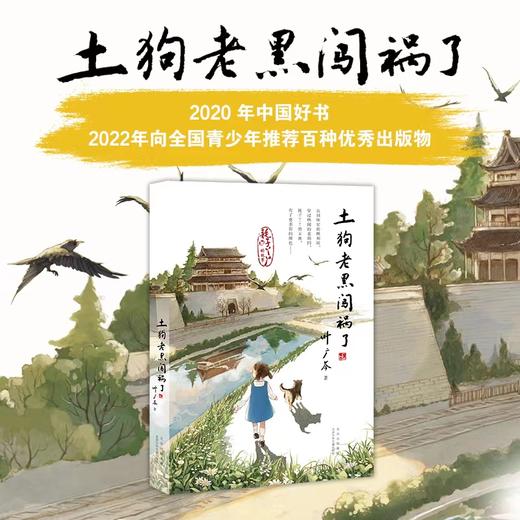 叶广芩童年系列五部曲（全五册）  北京少年儿童出版社 商品图5